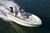 Barcos de pesca deportiva : bay boats, flat boats