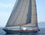 Vela de regata: Genoa, Foque
