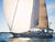 Vela de regata : Spinnaker, Gennaker