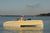 Barcos el�ctricos : botes, opens, walkarounds...