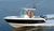 Barco a motor open