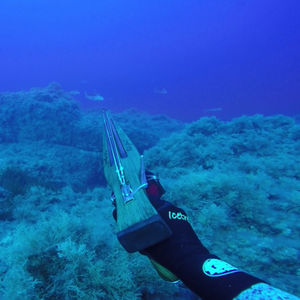 fusil de pesca submarina de madera