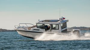 barco open fueraborda / intraborda / con cockpit cerrado / de pesca deportiva