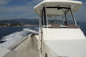 barco open fueraborda / bimotor / de pesca deportiva / 14 personas máx.