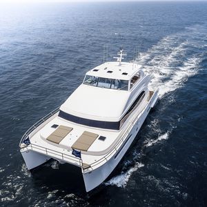 yate a motor catamarán a motor / de crucero / con fly