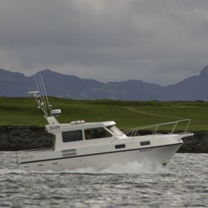 barco cabinado intraborda / diésel / de pesca deportiva / a medida