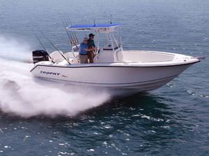 barco open fueraborda / de pesca deportiva / con T-top