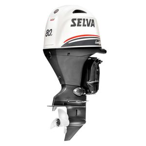 motor para barco profesional / fueraborda / gasolina / de 4 tiempos