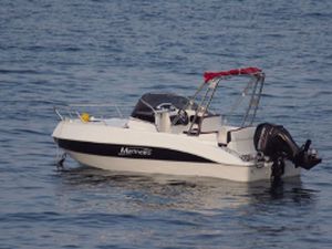 runabout intraborda / con doble consola / 6 personas máx. / con cabina