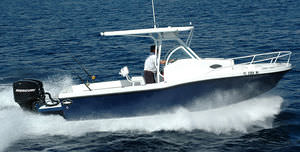 walkaround fueraborda / de pesca deportiva / con T-top