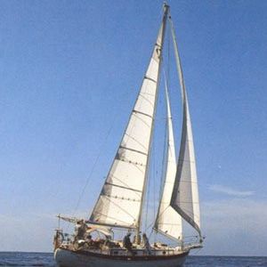 vela mayor / vela de proa / para velero de crucero / cross-cut