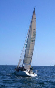 vela mayor / vela de proa / para velero de carrera