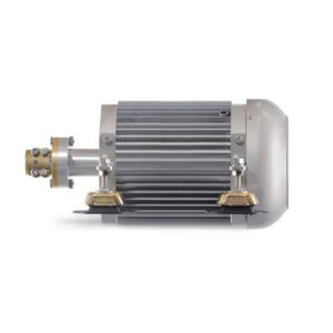 motor eléctrico intraborda