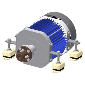 motor eléctrico intraborda