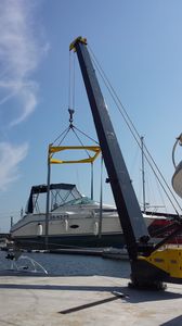 grúa para puerto deportivo / de brazo amantillable
