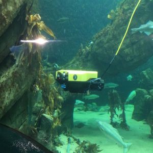 ROV submarino de intervención / de observación