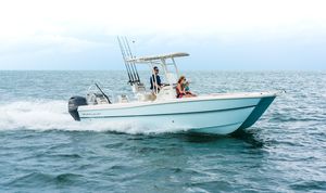 barco open catamarán / fueraborda / bimotor / de pesca deportiva