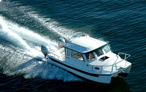 barco de pesca-crucero catamarán / fueraborda