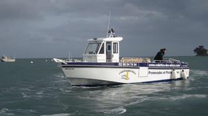 barco de pasajeros / fueraborda