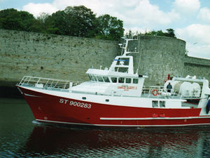 barco de pesca profesional / intraborda