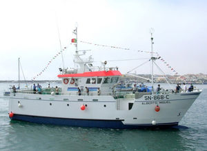 barco de pesca profesional