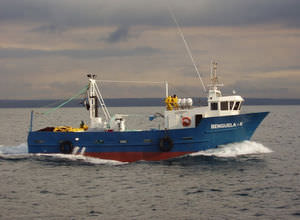 barco de pesca profesional