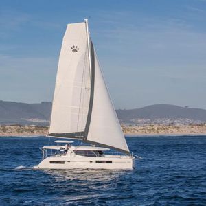 catamarán / de crucero / con popa abierta / con 3 o 4 camarotes