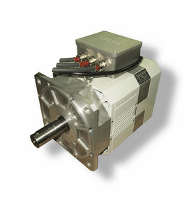 motor eléctrico intraborda / síncrono / de imán permanente