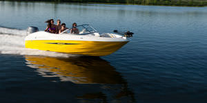 runabout fueraborda / bow-rider / de pesca deportiva / 8 personas máx.