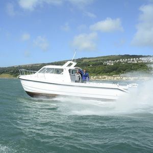 barco de pesca-crucero catamarán / fueraborda / bimotor / con cockpit cerrado