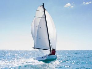 monocasco / monotipo / velero de quilla deportivo / con popa abierta