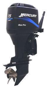 motor para barco profesional / fueraborda / gasolina / de 2 tiempos