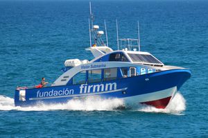 barco de visión submarina intraborda