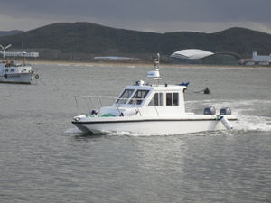 cabin-cruiser catamarán / fueraborda / con hard-top / 8 personas máx.