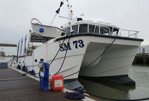 barco de pesca profesional catamarán / intraborda