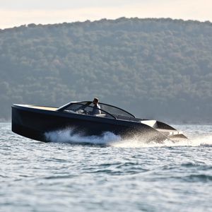 runabout intraborda / fueraborda / eléctrico / 12 personas máx.