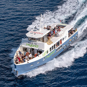 barco de pasajeros / híbrido diésel-eléctrico / de aluminio