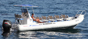 embarcación neumática fueraborda / bimotor / RIB / con consola central