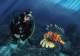 DIVING CATALOGUE 2011 - Beuchat