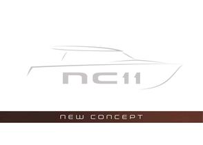 NC 11 2010