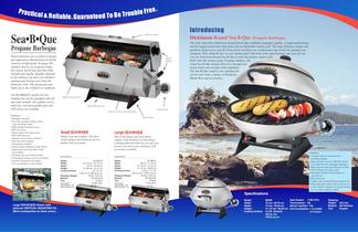 Dickinson Marine BBQ