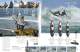 CATALOGO RTM 2011- ESPA�OL