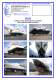 SELF PROPELLED BOAT TRAILER M350