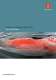 Hugin family of AUV's