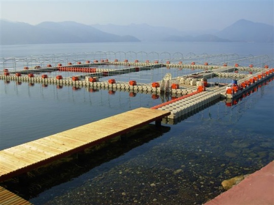 AQUA-MODULE Photo 3