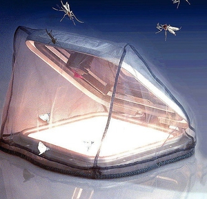 mosquitera