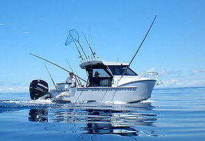 cabin-cruiser-pesca-deportiva