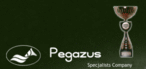 Przedsiebiorstwo Uslug Specjalistycznych ''PEGAZUS''  - logo