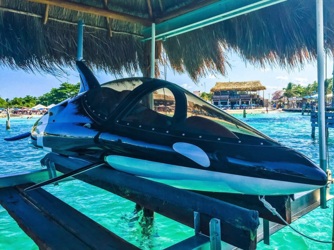 Seabreacher© SEABREACHER Y Innespace Productions