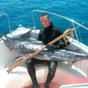 fusil de pesca submarina de teca 1
